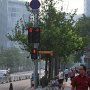 Bikes and pedestrians are the norm.  Many intersections have bike stoplights along side vehicle stoplights.