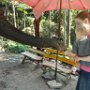 Daniel loves animals. Feeding the elephant was lots of fun!