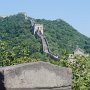 From this perspective, the viewer can get an idea of the elevation change involved in building this wall.