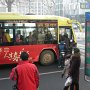 A city bus stops for new passengers. Hohhot is dense enough that many stops have multiple routes.