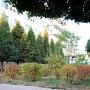 The courtyard we share with the Education Hotel.