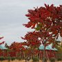 Fall colors in full force.