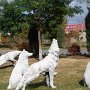 Statues of wolves outside the art building.