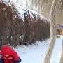 A child stoops down to make a snowball.