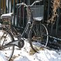 A long neglected bicycle.